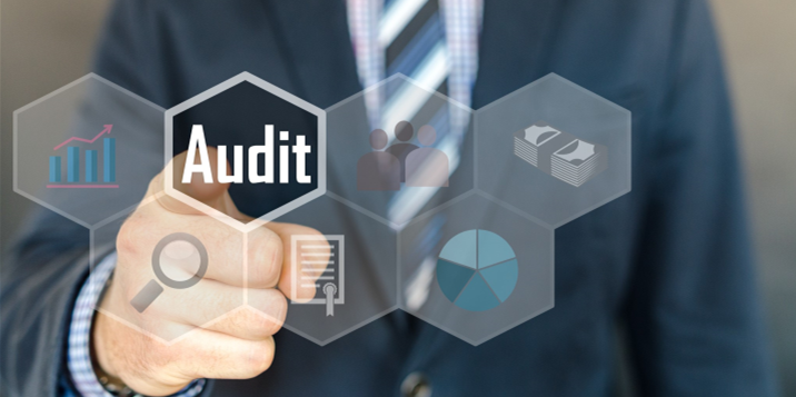 Auditing of Crewing Companies
