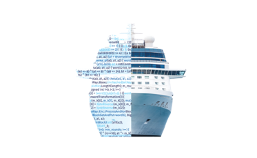 Fleet Cyber Security Officer