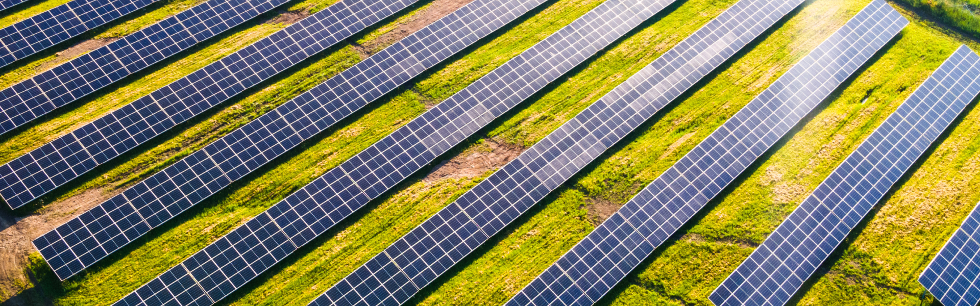 Solar farm