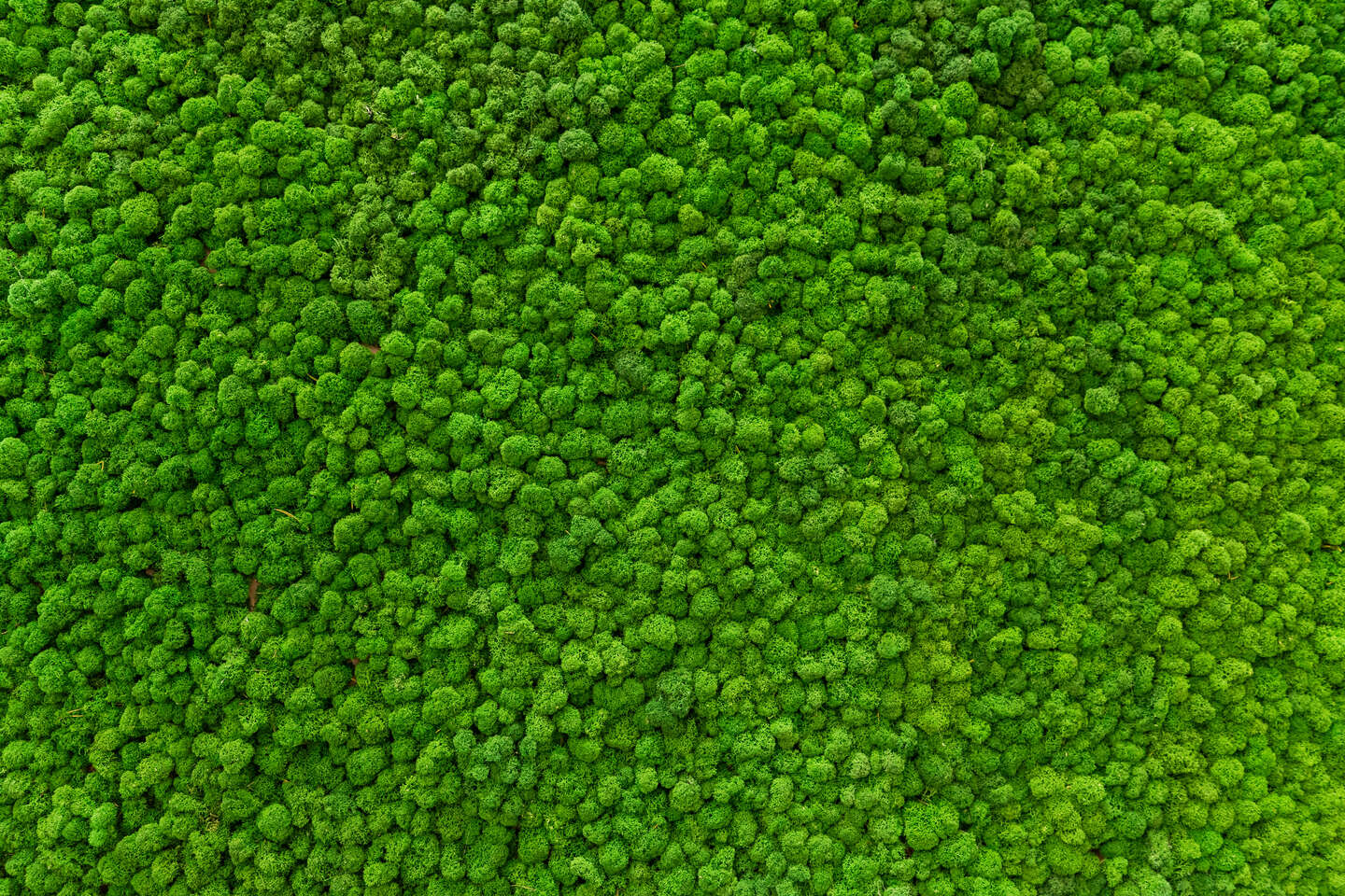 ISO 14001 改版