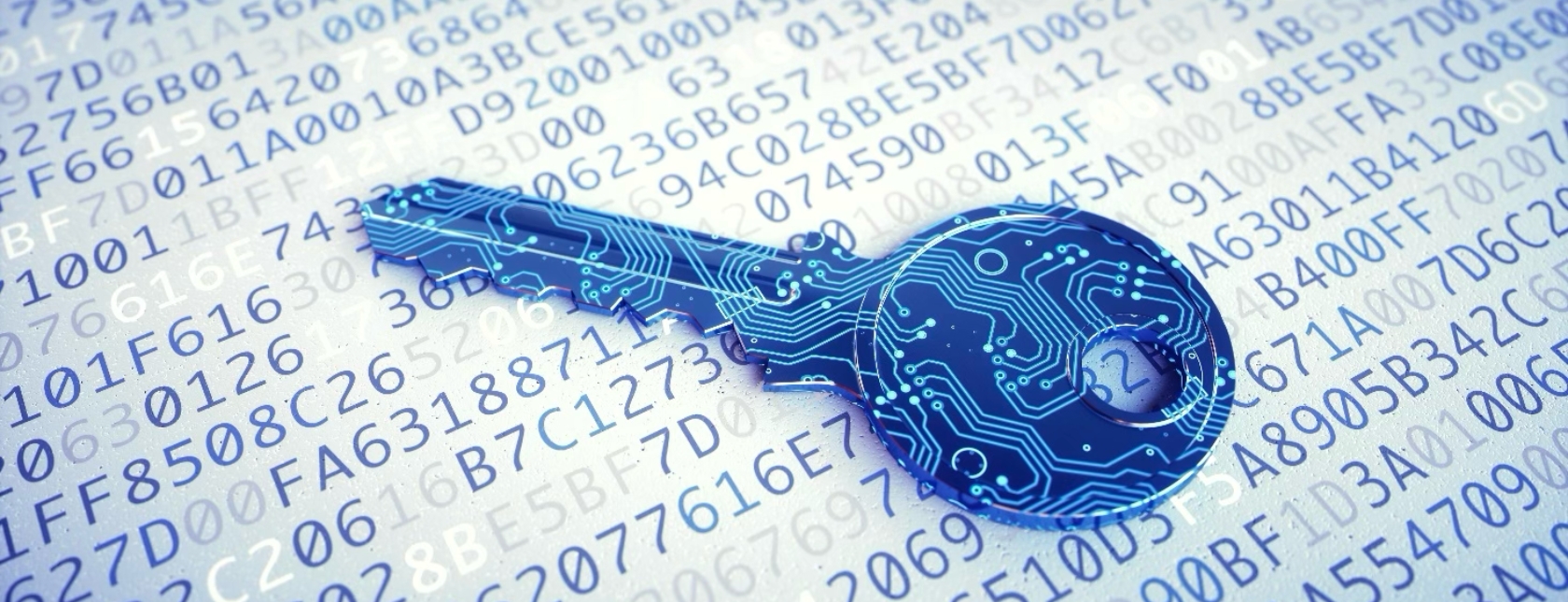 Ethical Hacking Foundation (S-EHF)