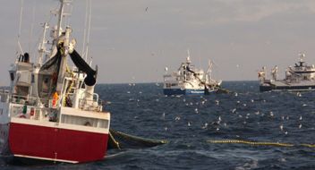 MSC Fisheries Standard - service