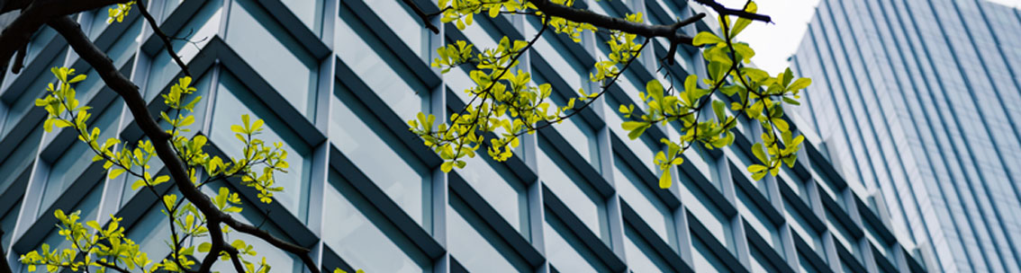 building with tree