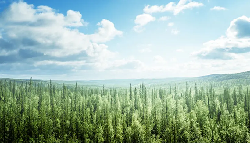 ViewPoint Espresso - Environmental Management snapshot