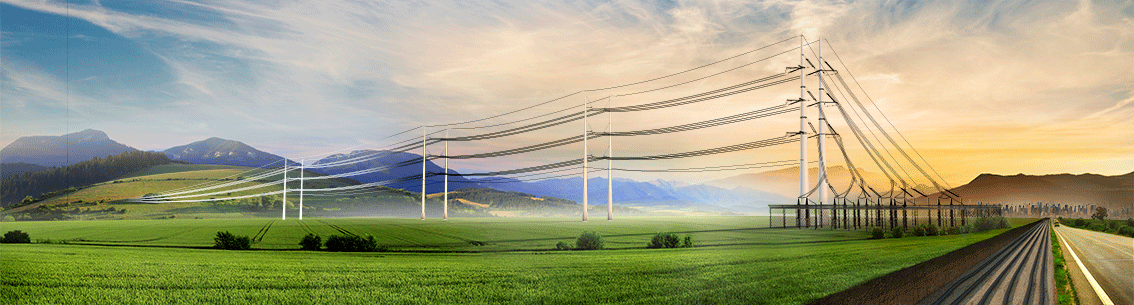 Future Grids overview