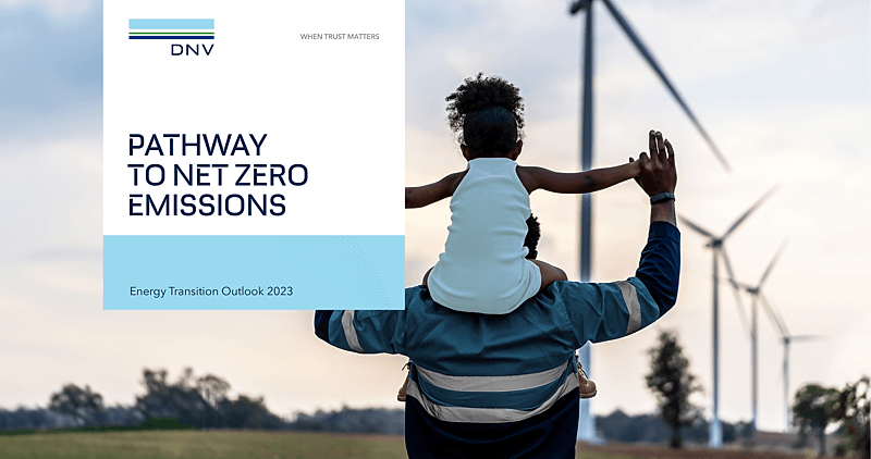 Pathway to Net Zero Emissions