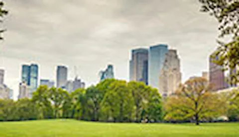 ISO 14001 Certification: Environmental Management