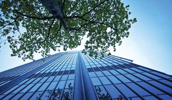 Curso de Formación de Auditor Interno ISO 14001:2026 (incluyendo interpretación)