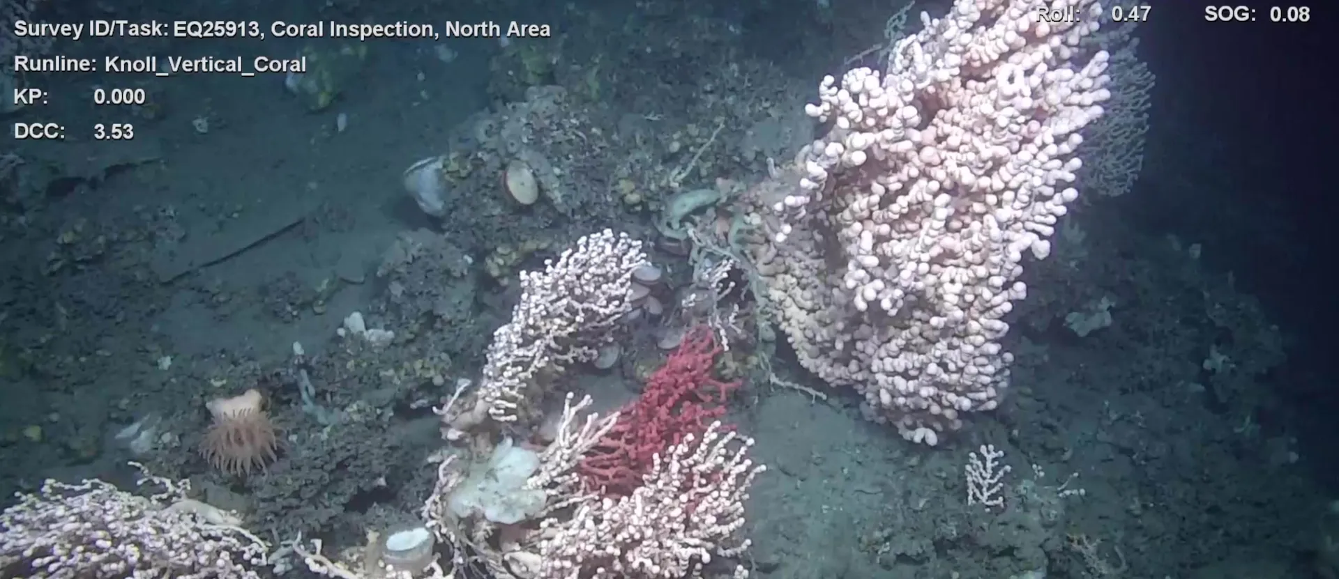 Seabed