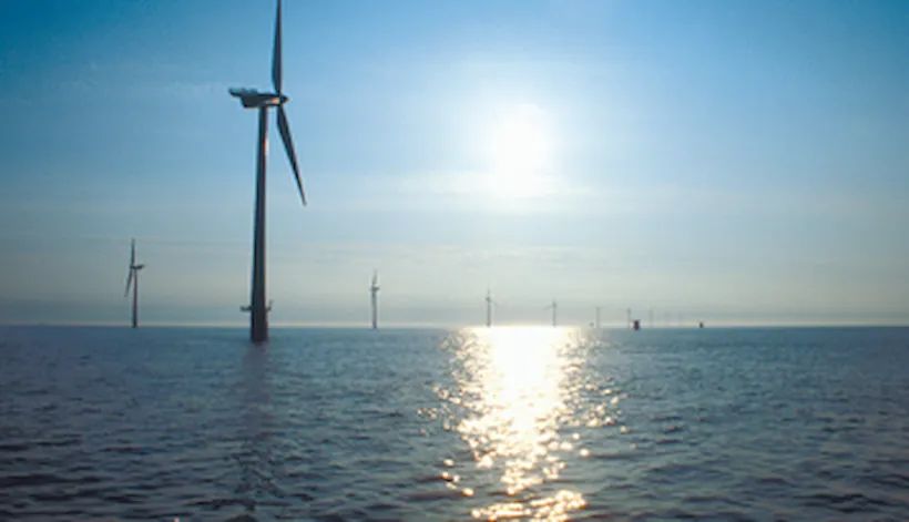 Espresso-undersökning - Översikt över resultaten av energiaudits