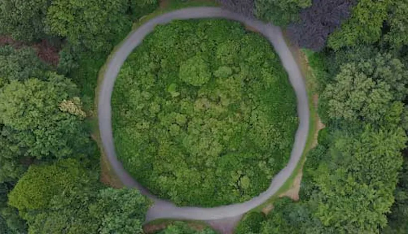 How are companies transitioning towards the circular economy
